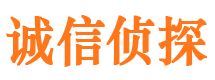 大化私家侦探公司